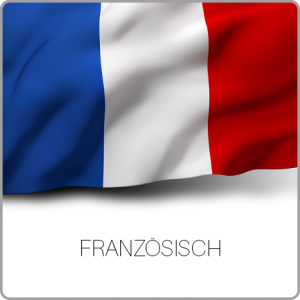 Audio-Transkription Dissertation, Transkribieren Doktorarbeit, Promotion - Französisch, Française
