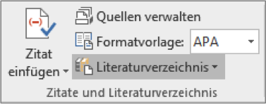 Reiter Referenzen – Zitate und Literaturverzeichnis