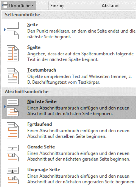 Abschnittsumbruch einfügen