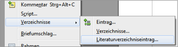 Reiter Einfügen – Verzeichnisse – Literaturverzeichniseintrag