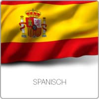 Spanisches Lektorat einer Doktorarbeit